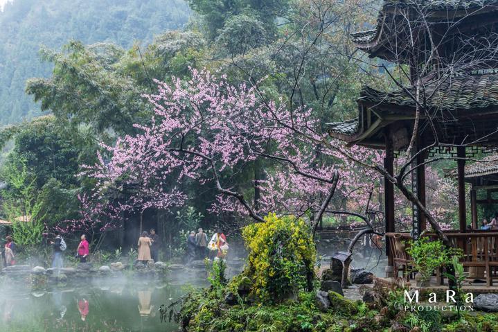 影视工厂