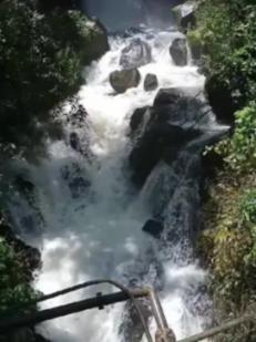 救援小肥兔