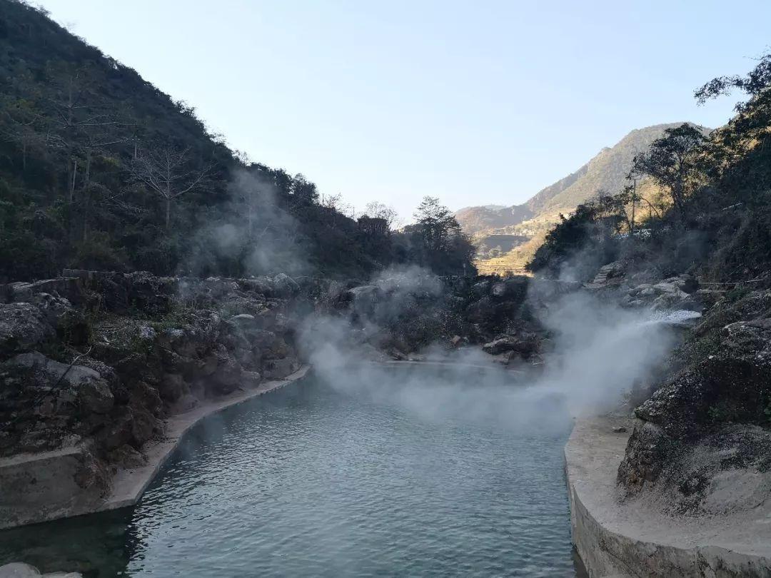 了解王铮心理咨询的擅长有哪些知识星球,深入探索精彩世界
